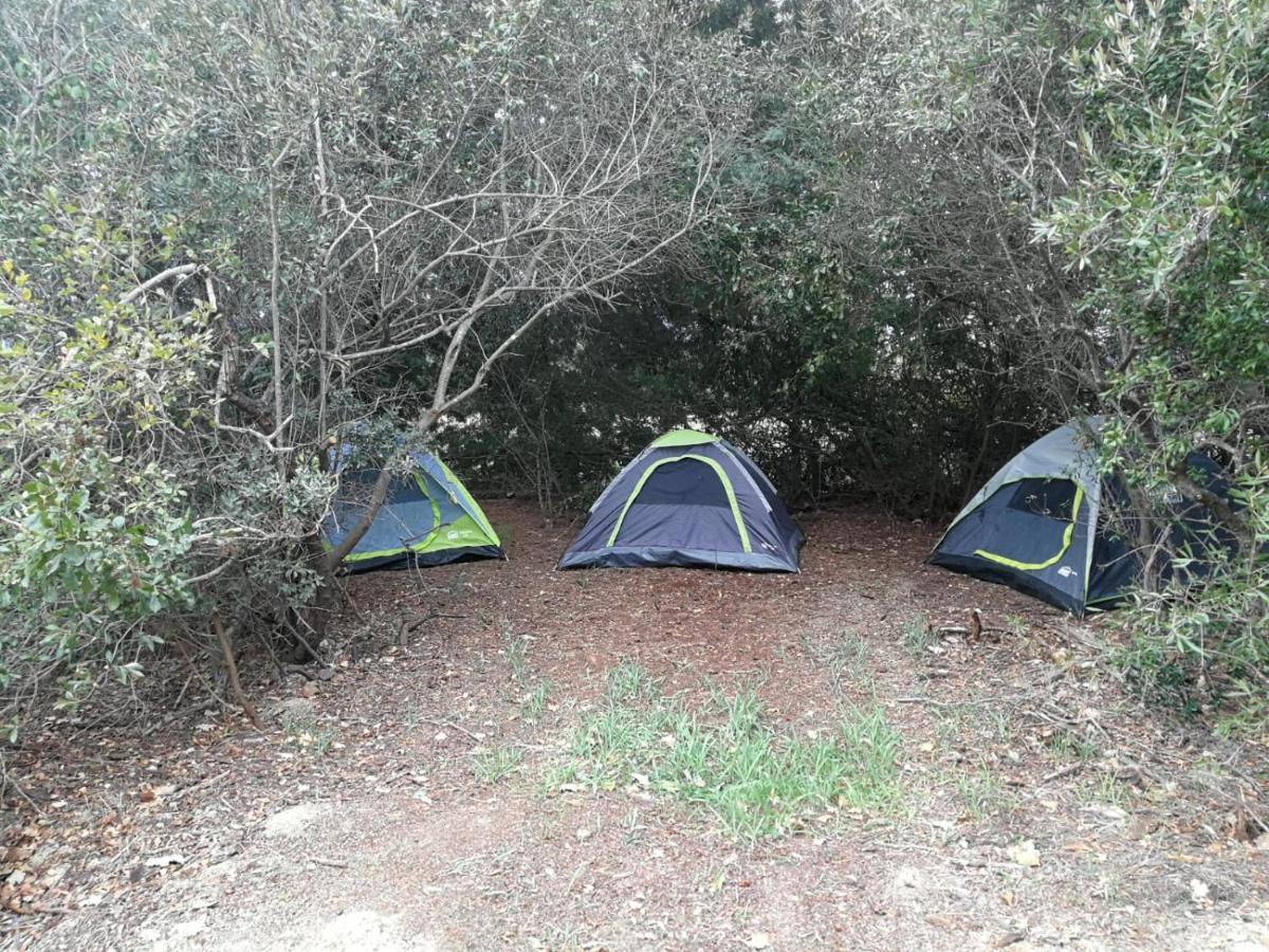 Klipfontein Rustic Farm & Camping Tulbagh Eksteriør bilde